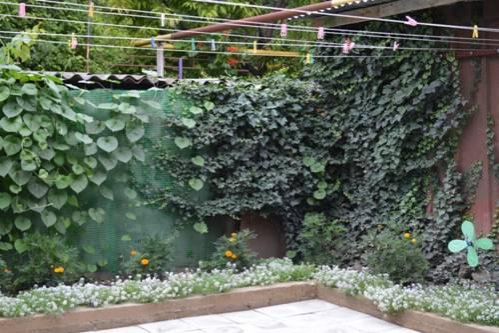 Гостиница Guest House on Gorkogo street 51 Анапа-16