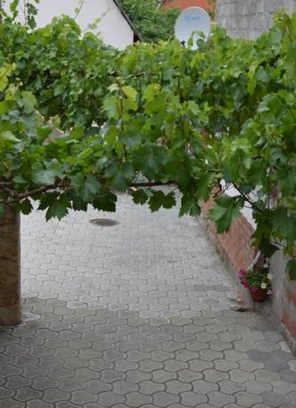 Гостиница Guest House on Gorkogo street 51 Анапа-12