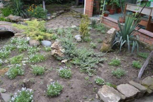 Гостиница Guest House on Gorkogo street 51 Анапа-24