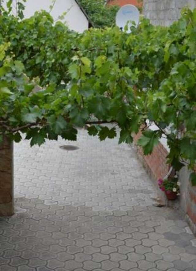 Гостиница Guest House on Gorkogo street 51 Анапа-11